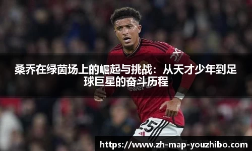桑乔在绿茵场上的崛起与挑战：从天才少年到足球巨星的奋斗历程
